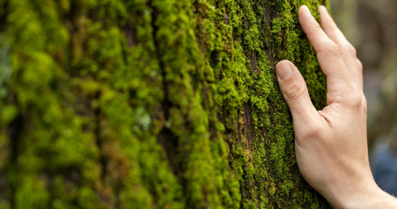 ¿Por qué el cuidado del ambiente se ha relacionado con mujeres?