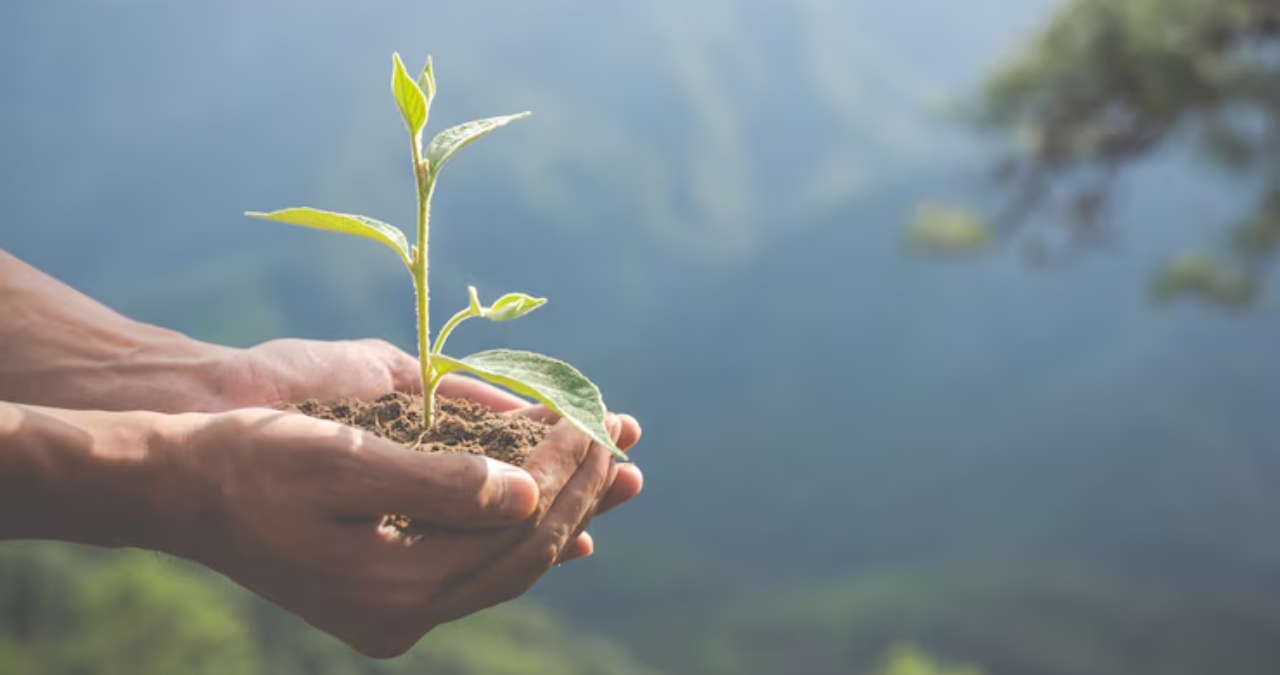 Ingenieras Contra el Cambio Climático: Mujeres que Desarrollan Soluciones Sostenibles