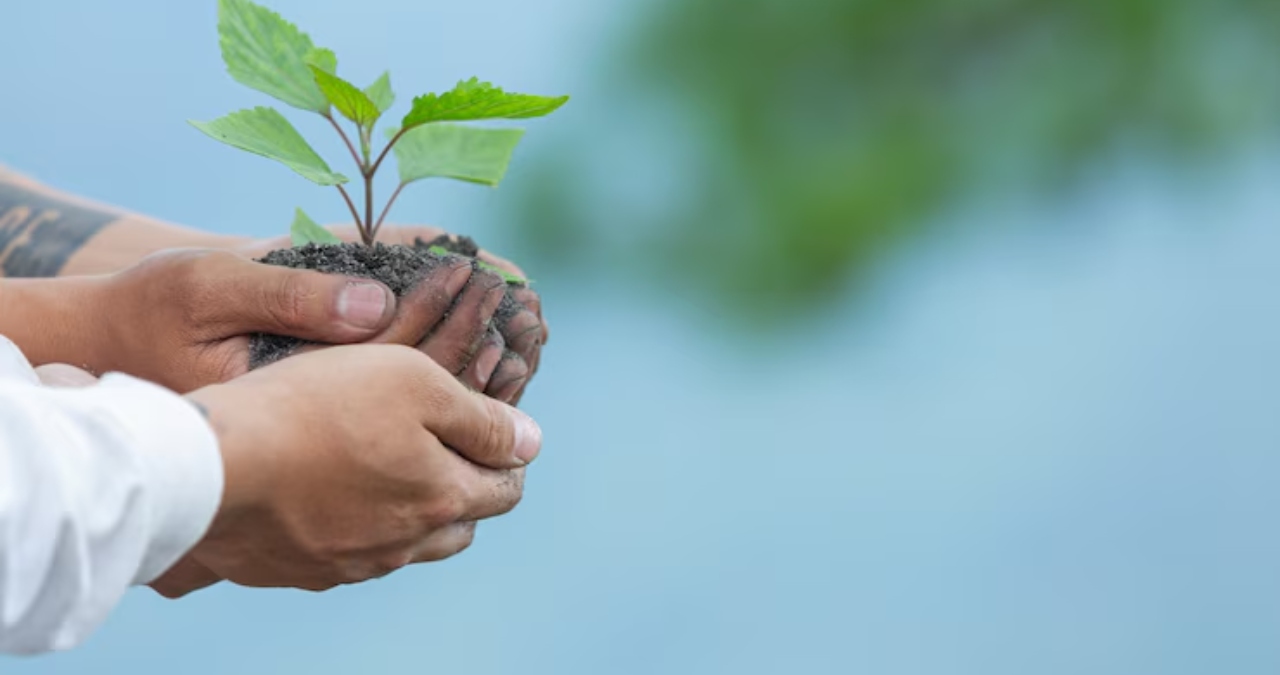 Cómo participar en el Día Mundial del Medio Ambiente: Acciones diarias para cuidar el ambiente