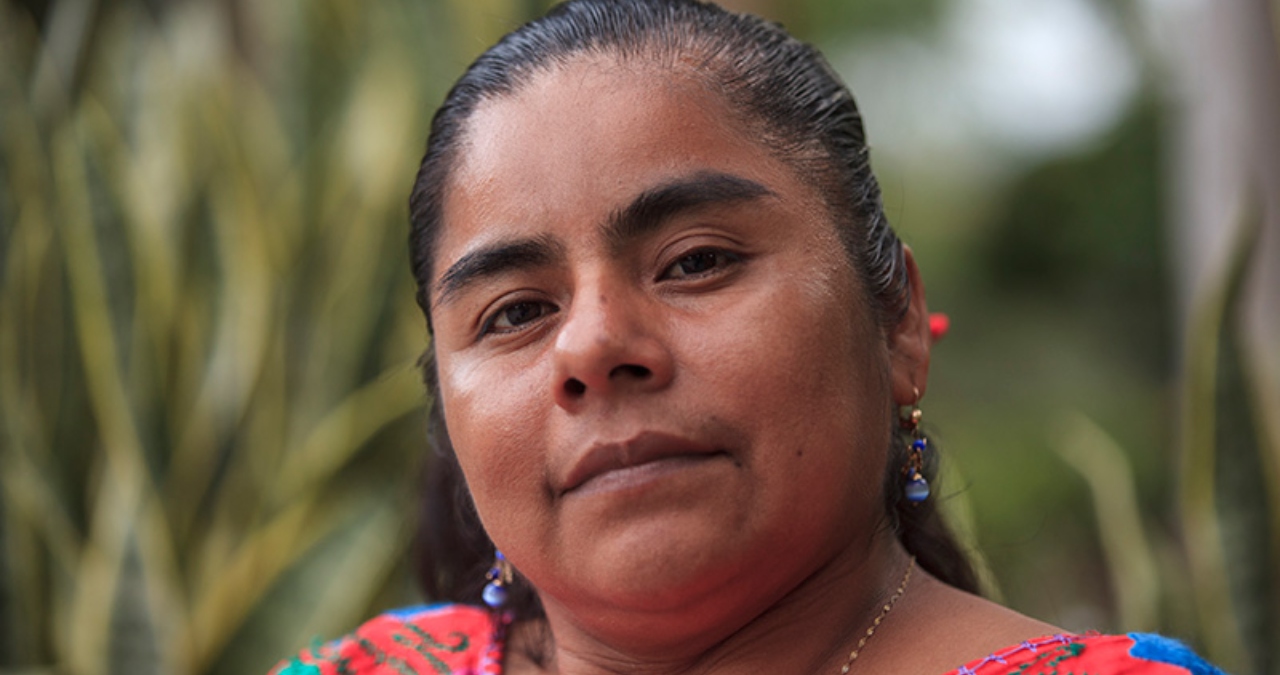 Hermelinda Tiburcio: la incansable activista que defiende los derechos de las mujeres indígenas en Guerrero