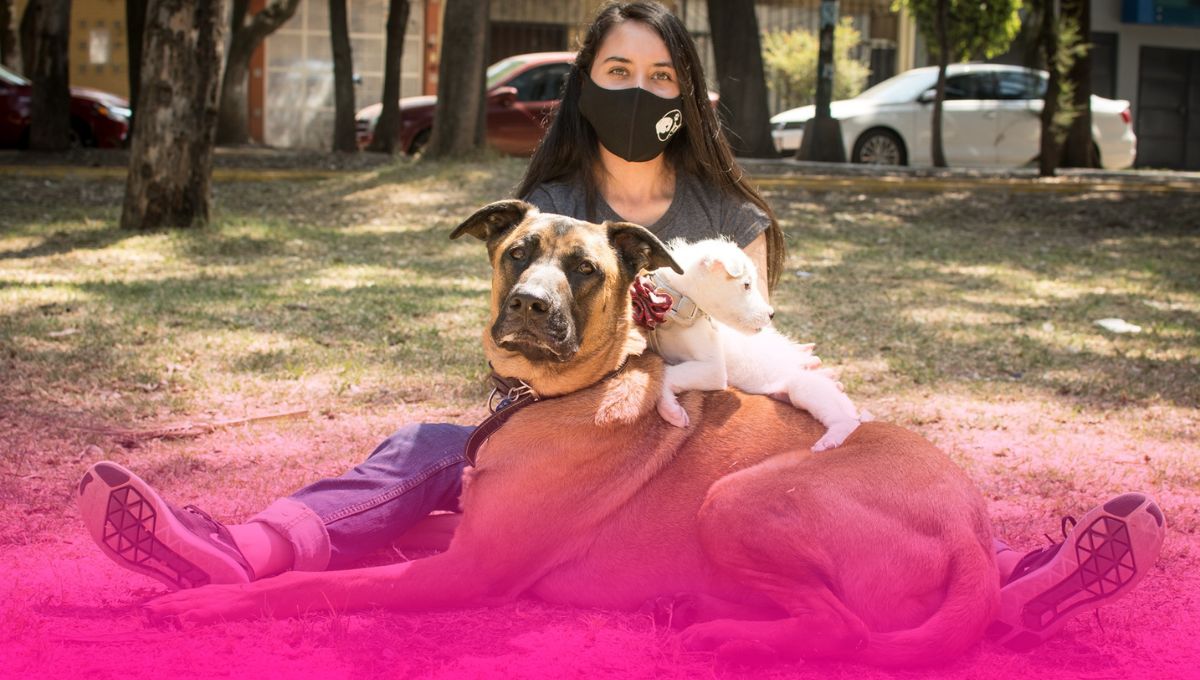 Dominique: de ser mordida por un perro y vender manzanas a abrir un refugio para salvar perritos en Navidad y todo el año