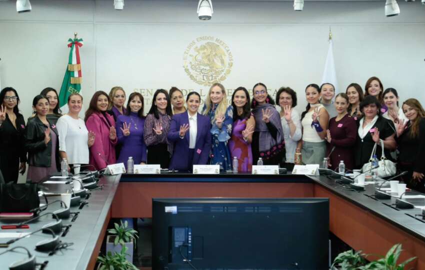El Senado se vistió de morado: la paridad duele, pero se pare