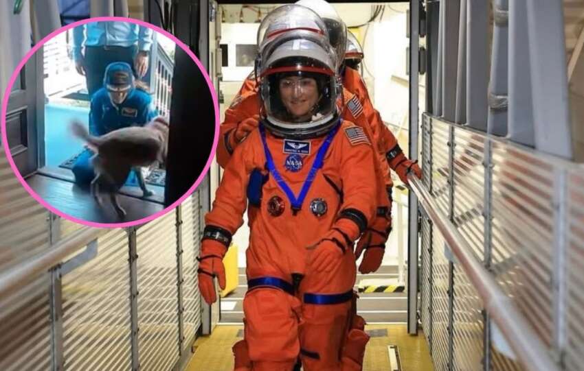 Así fue el reencuentro de la astronauta Christina Koch con su perrita tras ir a la luna 